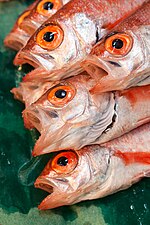 Oweston sting fish at Tsukiji