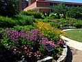 Steenbock Library and Allen Centennial Gardens