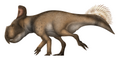 Protoceratops