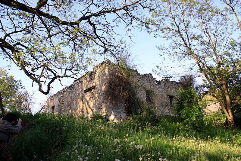 File:JKRUK 20110516 PECZELICE RUINY ARIANSKIEGO ZBORU XVIIW IMG 8494.jpg