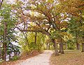 Lakeshore Path