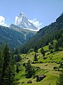 Matterhorn viewed from Winkelmatten (Zermatt), CH