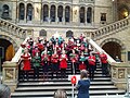 Choir singing carols in the Natural History Museum, London