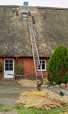 Construction site at the cowl of a thatched roof