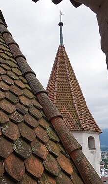 Roof of Schloss Thun