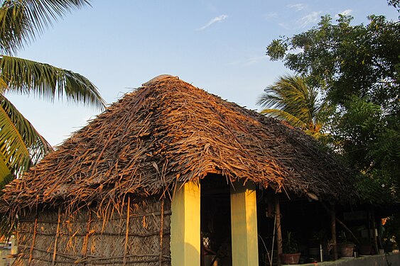 Coconut leaf thatched hut Tamilnadu,India