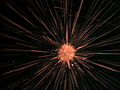 Detonating firework