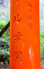 Unfinished Business - Fushimi Inari Shrine