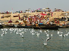 Triveni Sangam