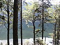 Feldsee near Freiburg im Breisgau