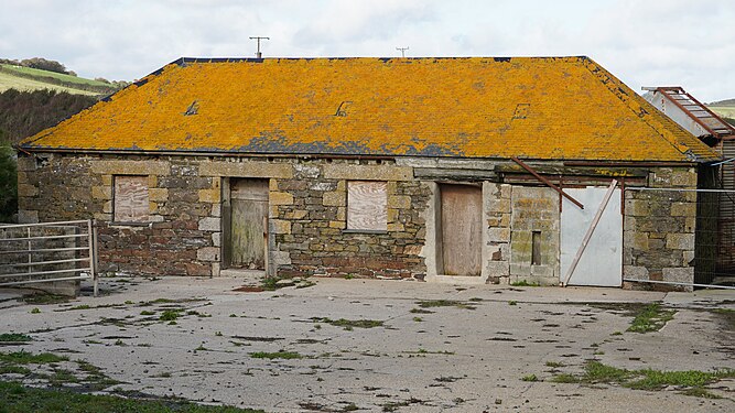 Lichen-covered roof on a farmyard building in Gunwalloe Church Cove, Cornwall, England