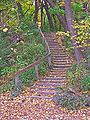 Lakeshore Path to Muir Woods