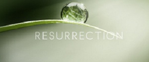 Resurrection 2013 logo.jpg