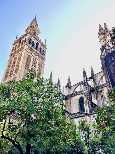 la-giralda-sevilla-photo