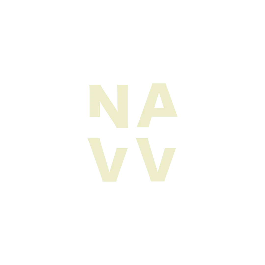 Logo Navv