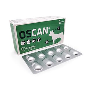 Oscan N60