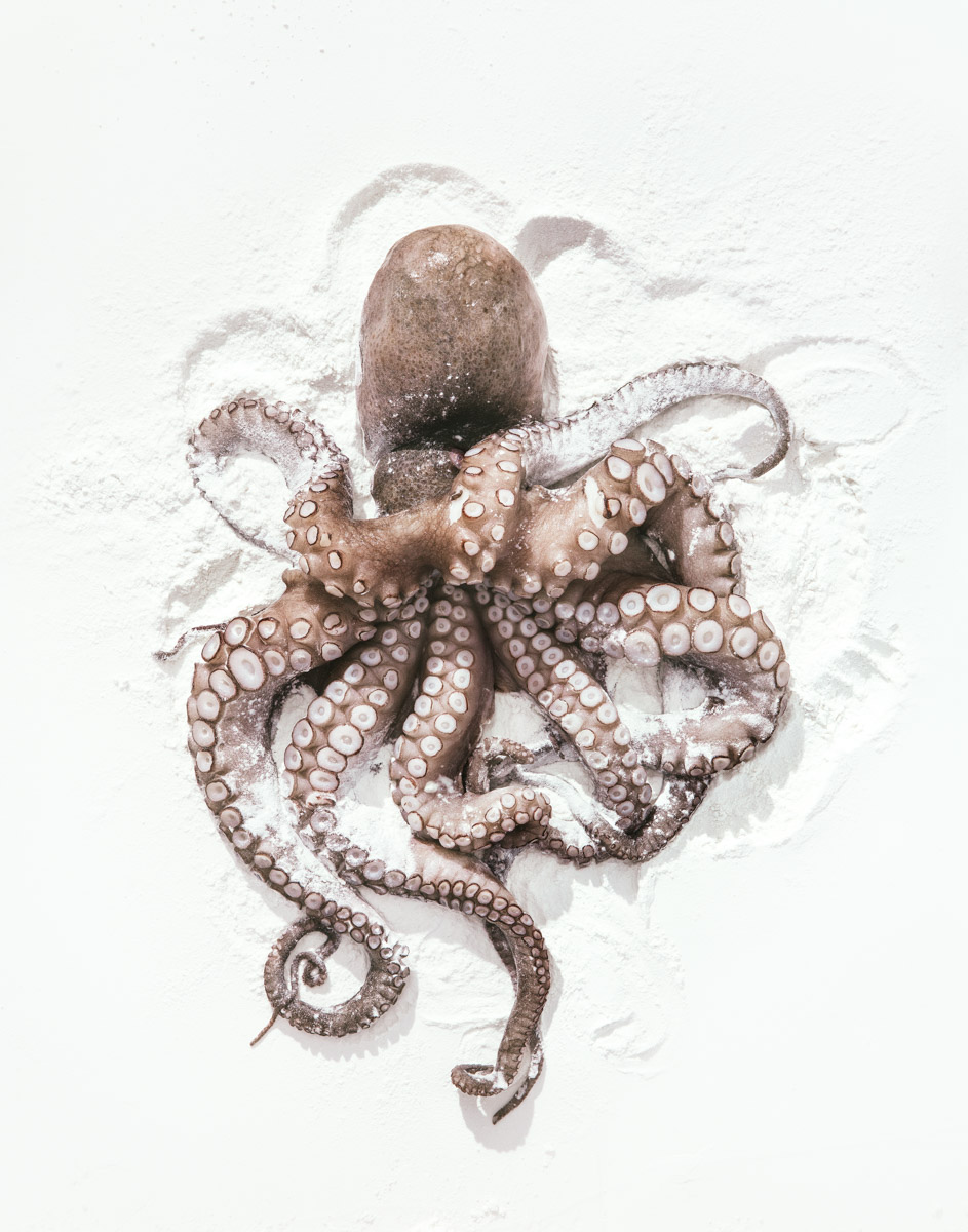 Chasseur de trésors