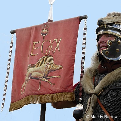 Amazing Roman Legion Flag Pictures & Backgrounds