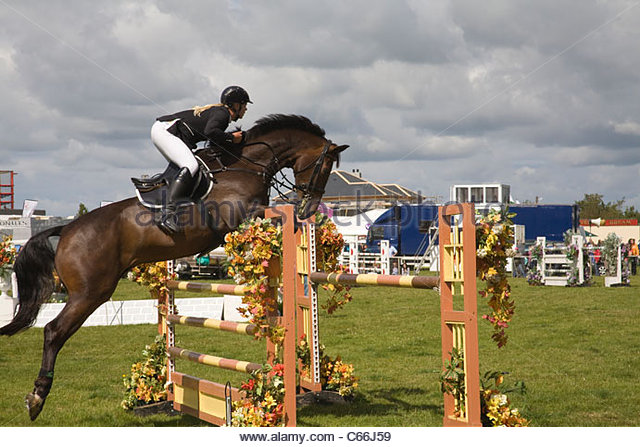 Show Jumping HD wallpapers, Desktop wallpaper - most viewed