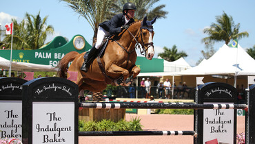 Show Jumping HD wallpapers, Desktop wallpaper - most viewed