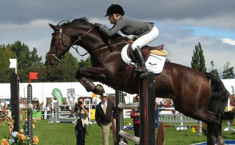 Show Jumping HD wallpapers, Desktop wallpaper - most viewed