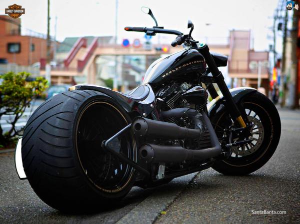 Harley Davidson