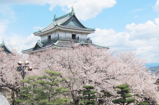 Spring in Wakayama