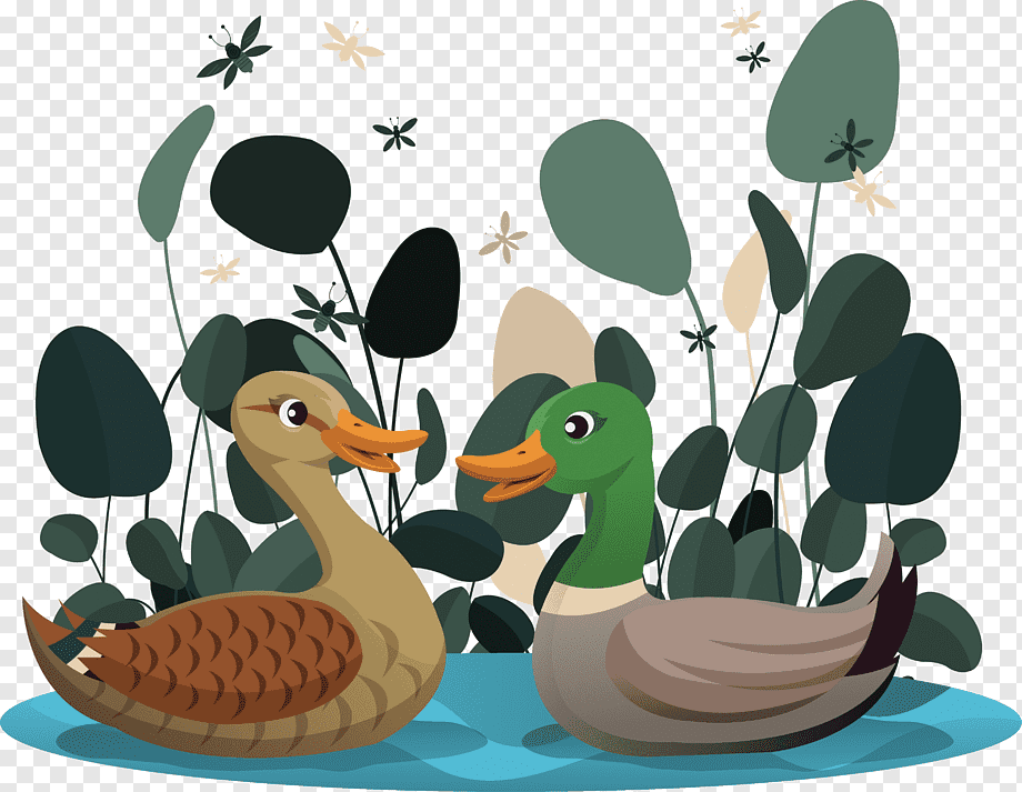 pond with ducks clipart