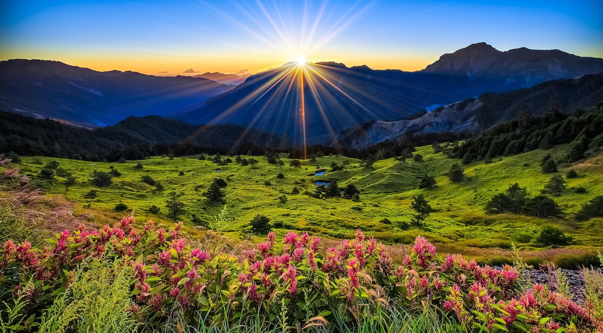 nature, mountains, dawn, flowers, grass, glade, polyana Full HD