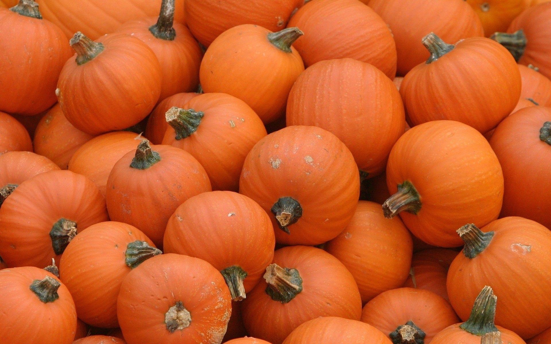 Fall Pumpkin Wallpaper For Desktop 57 images