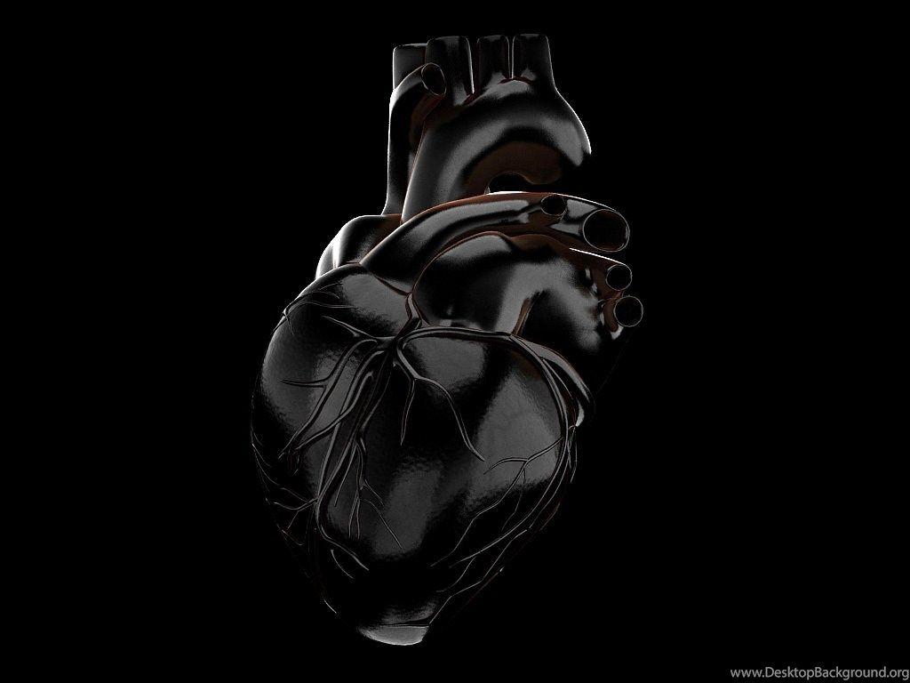 by AC Arbeláez  Anatomy art Anatomical heart art Nurse art