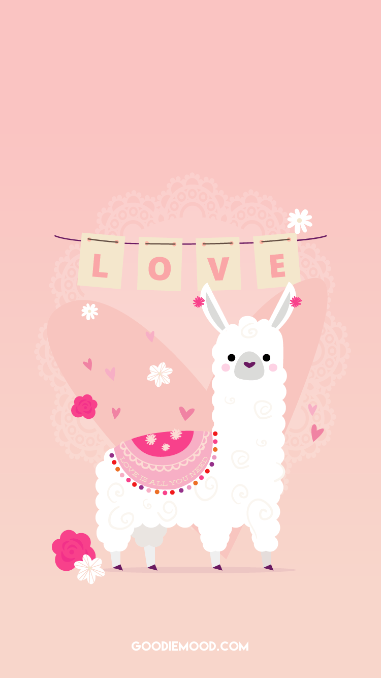 Miêu tả những giống Llama dễ thương llama cute wallpaper Tải xuống miễn phí