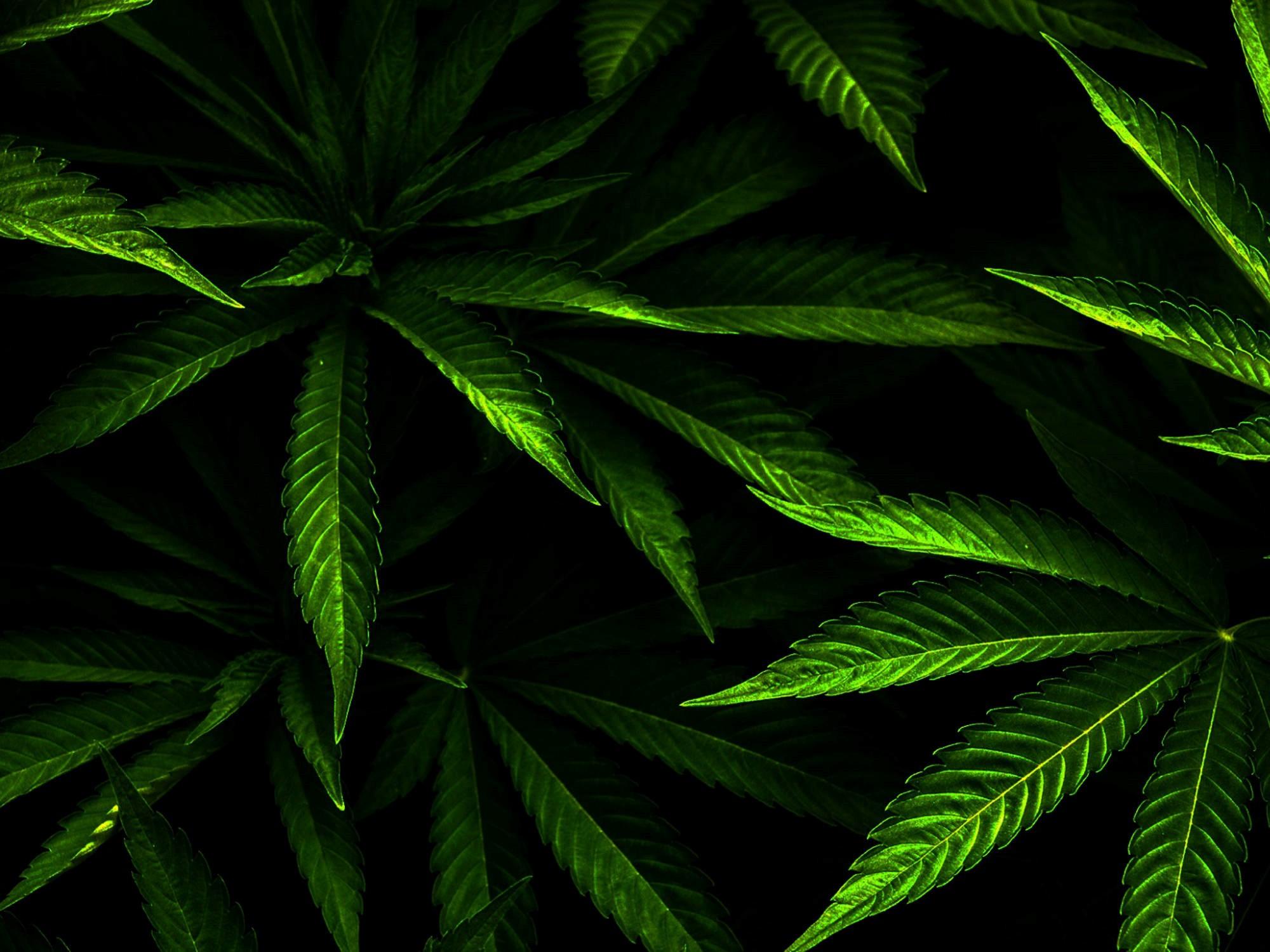 Weed Background