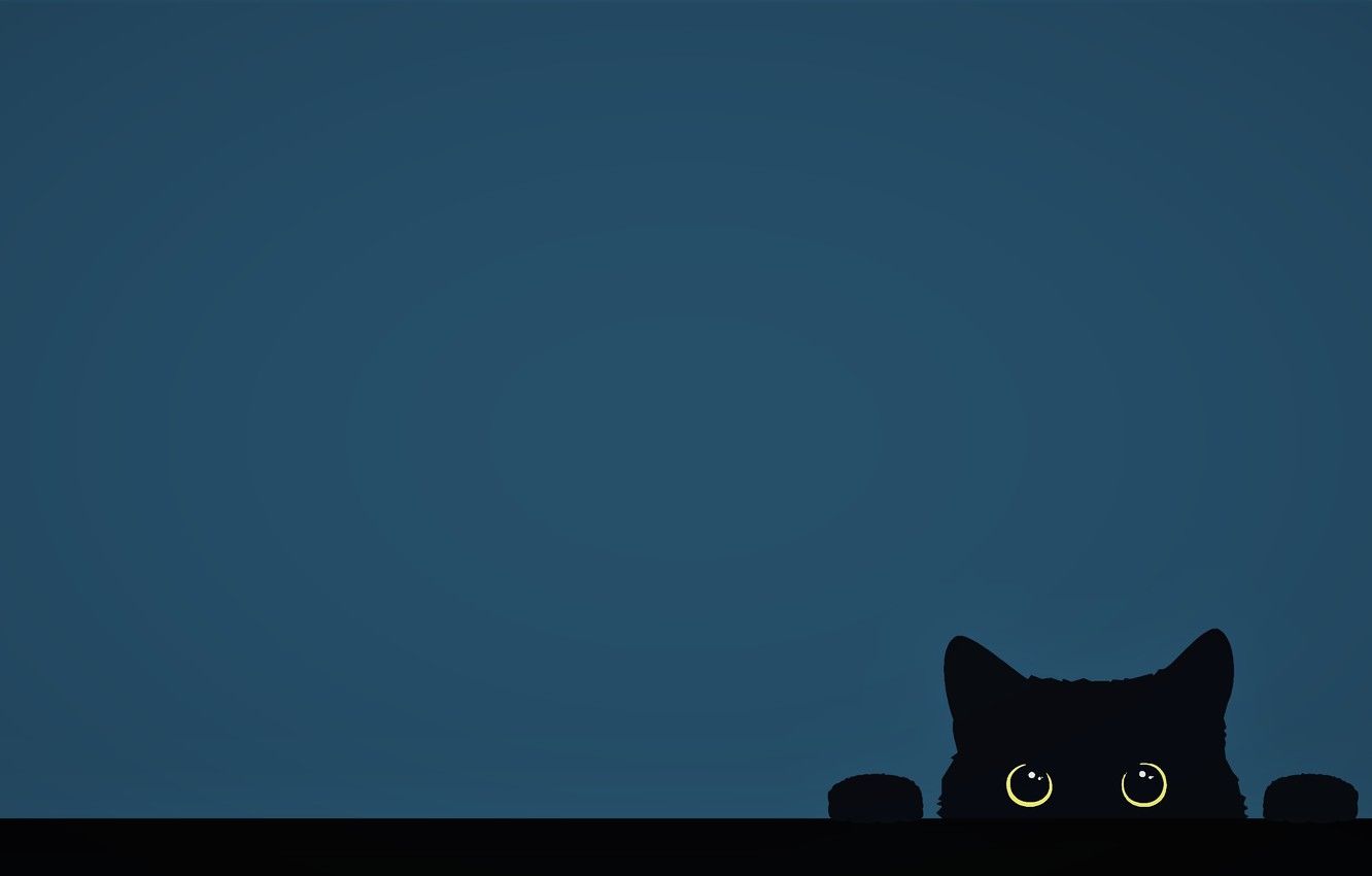 Cat Logo Minimal 4k Cat Logo Minimal 4k Wallpapers 4k - vrogue.co