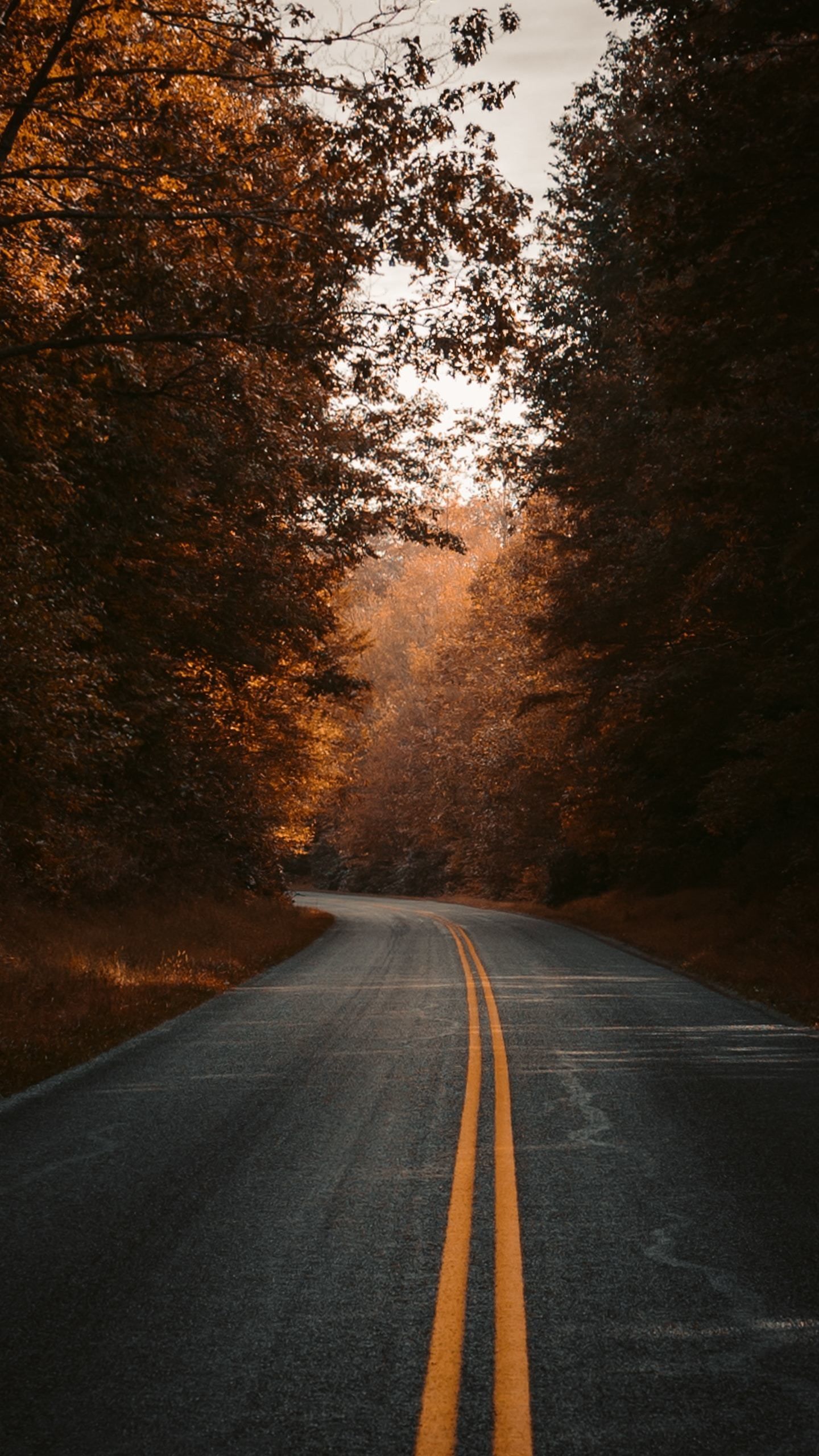 Road Wallpaper 4K