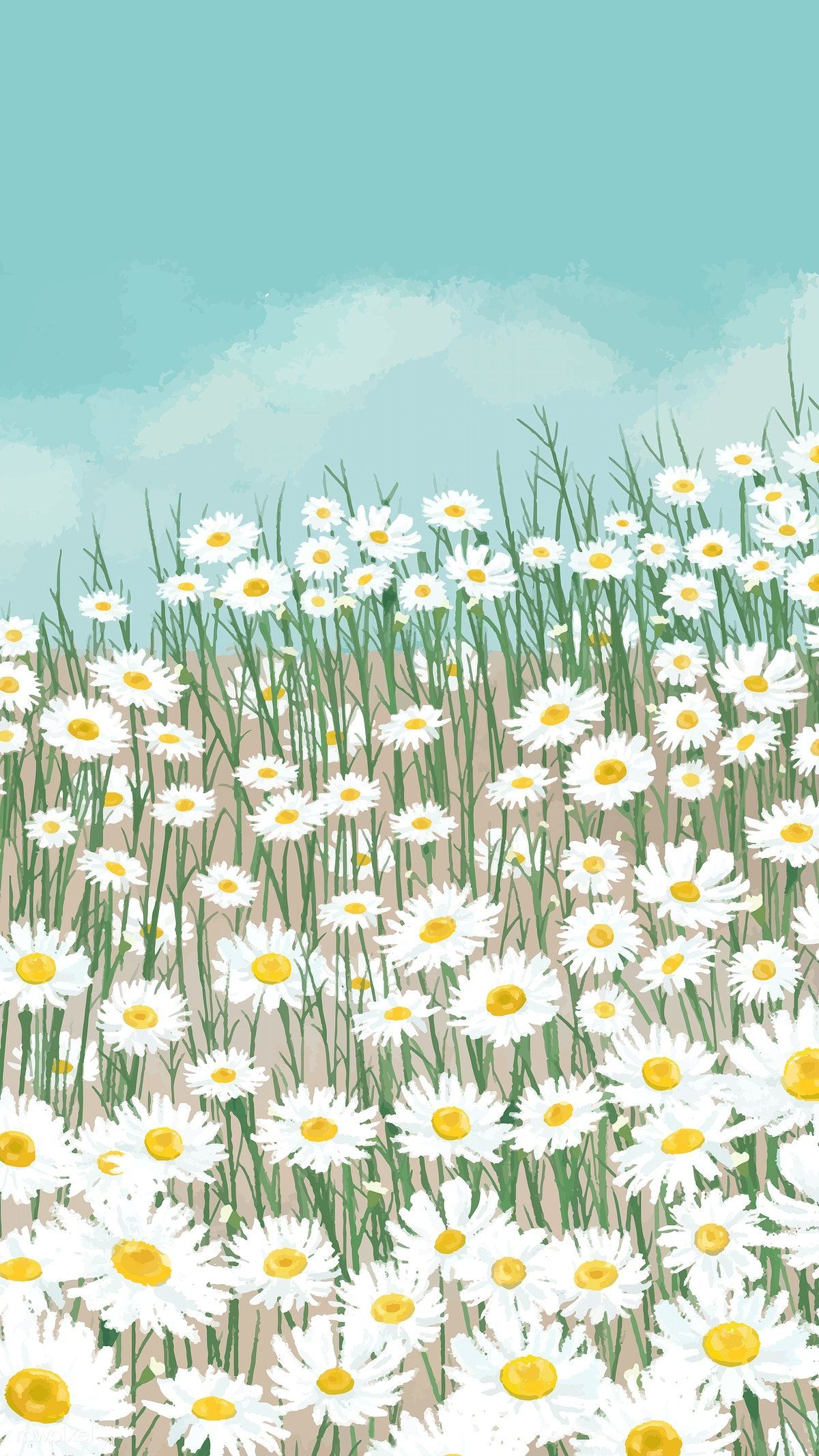 Aesthetic Daisy Wallpaper Cartoon