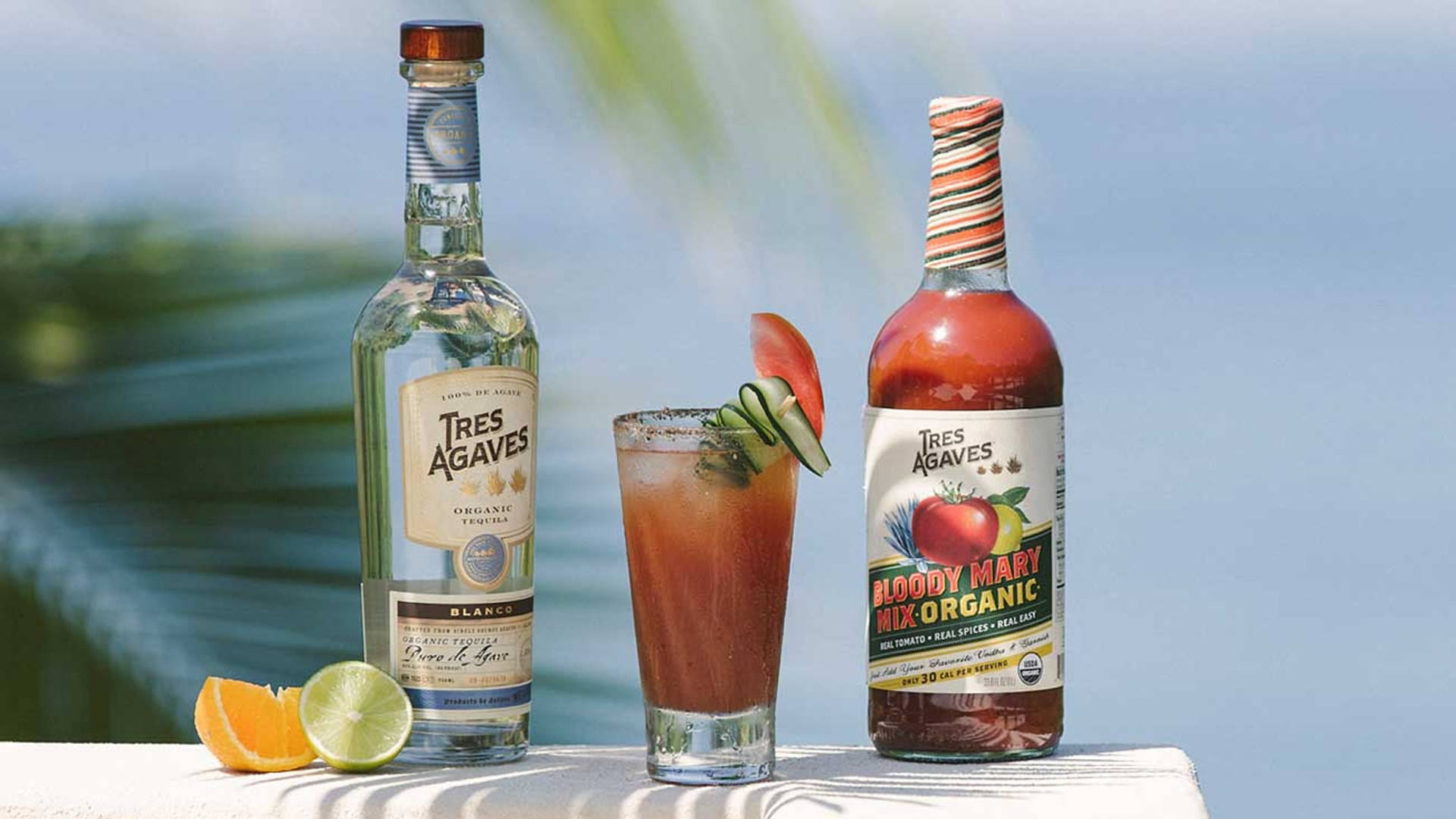 Tre Agave Sfondo
