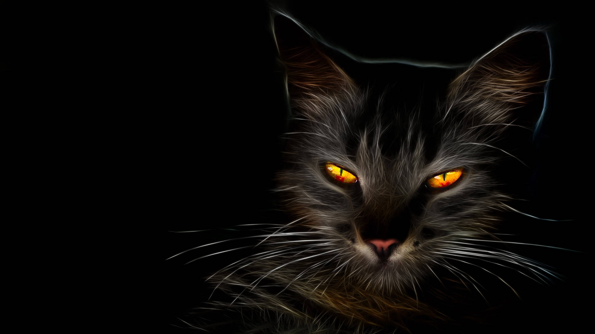 Discover more than 79 black cat desktop wallpaper latest - 3tdesign.edu.vn