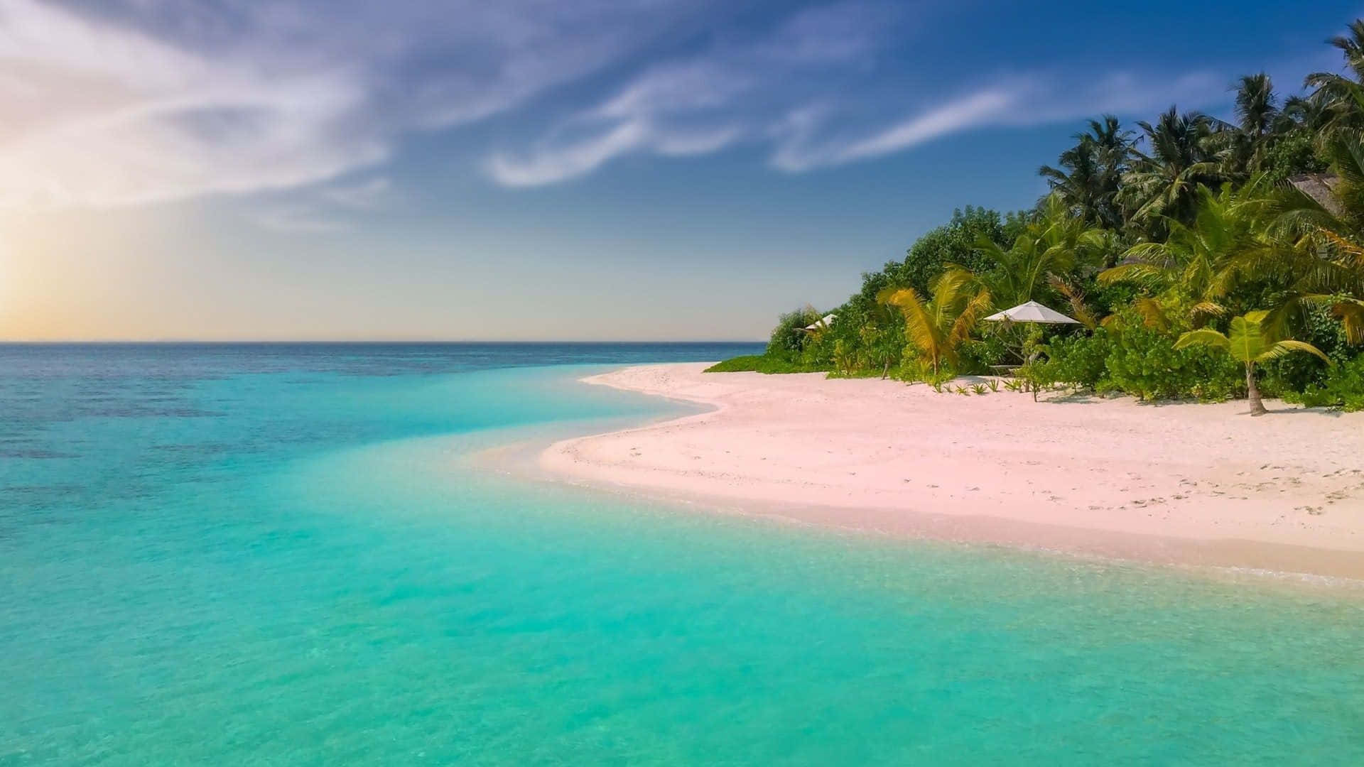 Peaceful White Sand Beach Sea Background