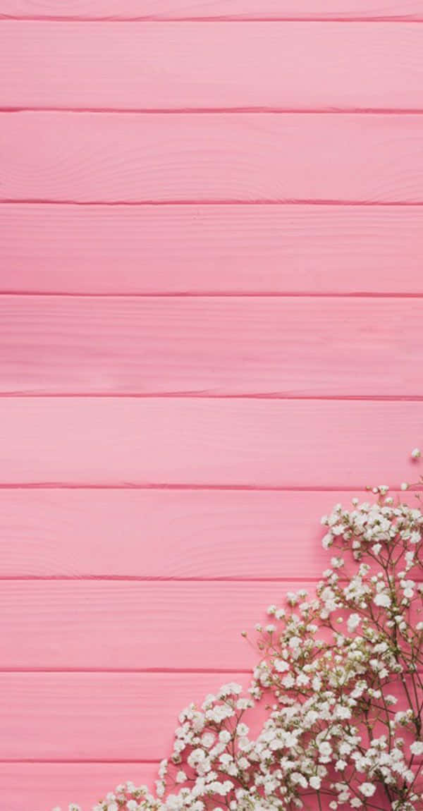 Pink phone wallpaper free downloads you need  Vanity Owl