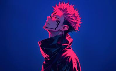 The Jujutsu Kaisen, art