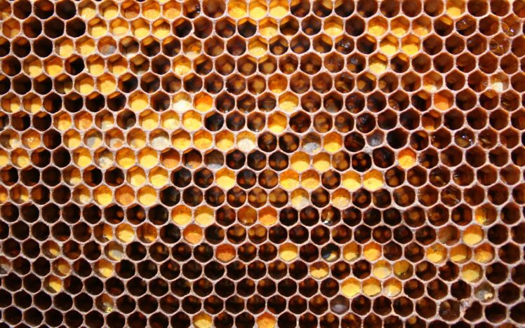 honeycomb HD Wallpaper Desktop Background