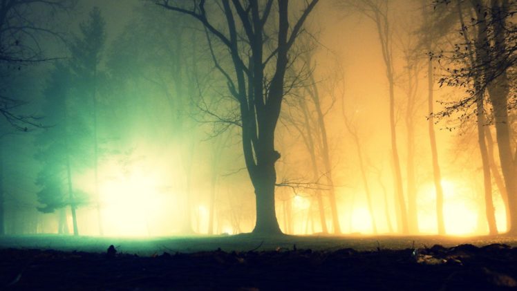 fog HD Wallpaper Desktop Background