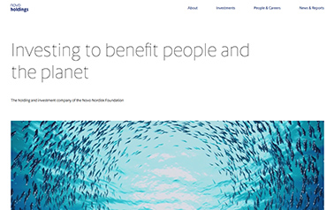 novo-holdings website example