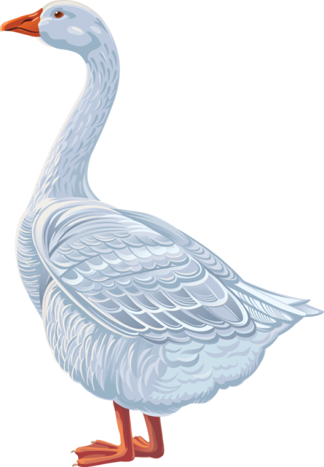 goose clipart animal canadian