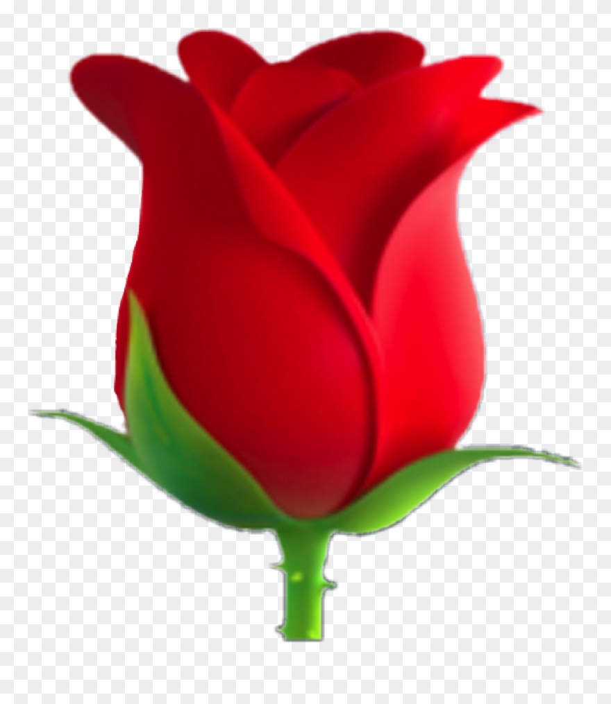 Clipart rose emoji, Picture #2480513 clipart rose emoji