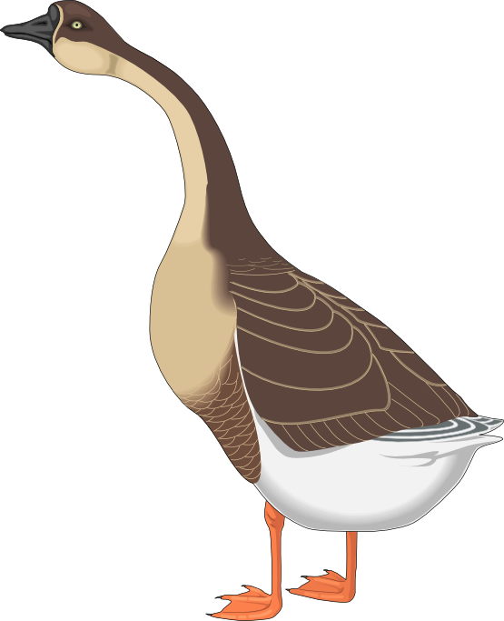 goose clipart canadian goose