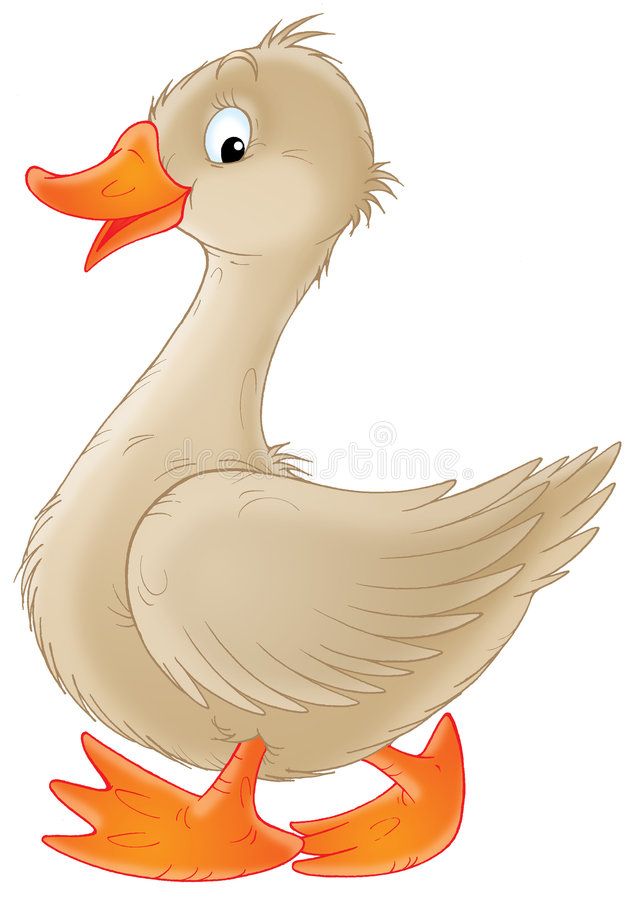 Pin on vectors design. Goose clipart grey goose