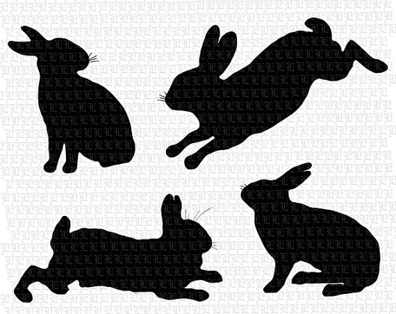 4 clipart bunny