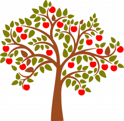 Apple Tree Wall Decal | Apples, Stenciling and Journaling